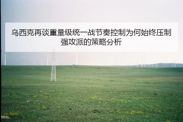 乌西克再谈重量级统一战节奏控制为何始终压制强攻派的策略分析